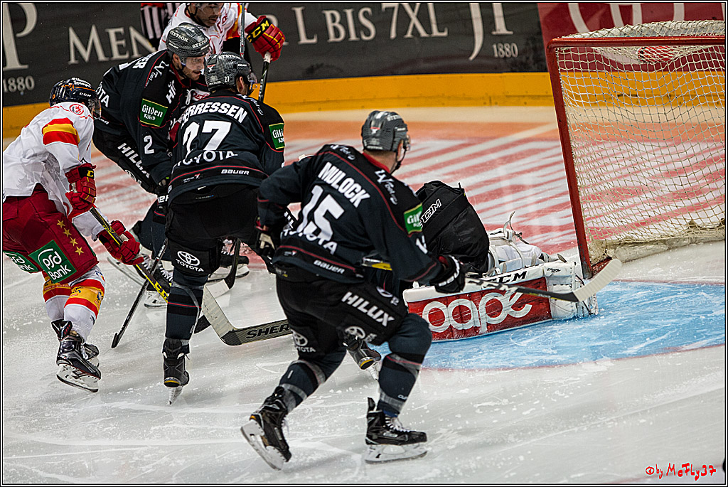 Koelner Haie - Duesseldorfer EG, 18.12.2016